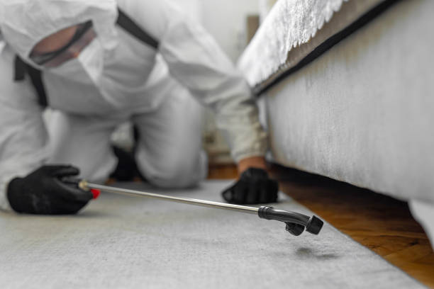 Professional Cockroach Control technician working in Pflugerville, TX